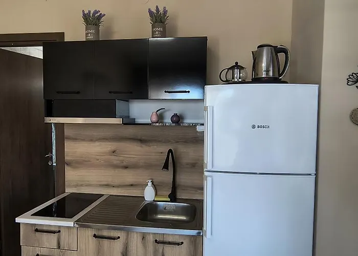 The Peaceful Apartment