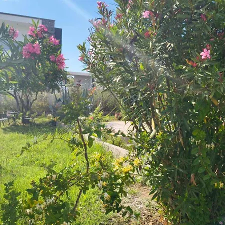 The Peaceful Apartmán