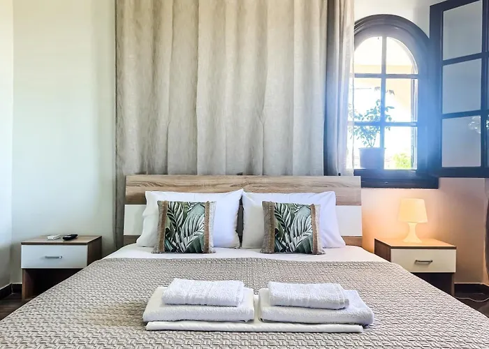 The Peaceful * 帕拉利亚狄奥尼索