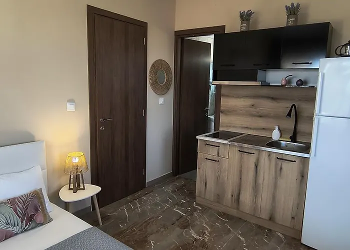 The Peaceful 帕拉利亚狄奥尼索